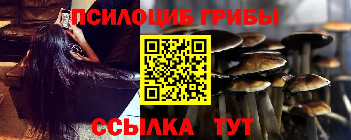 Саяногорск  Псилоцибиновые грибы Psilocybe  Вход с VPN 